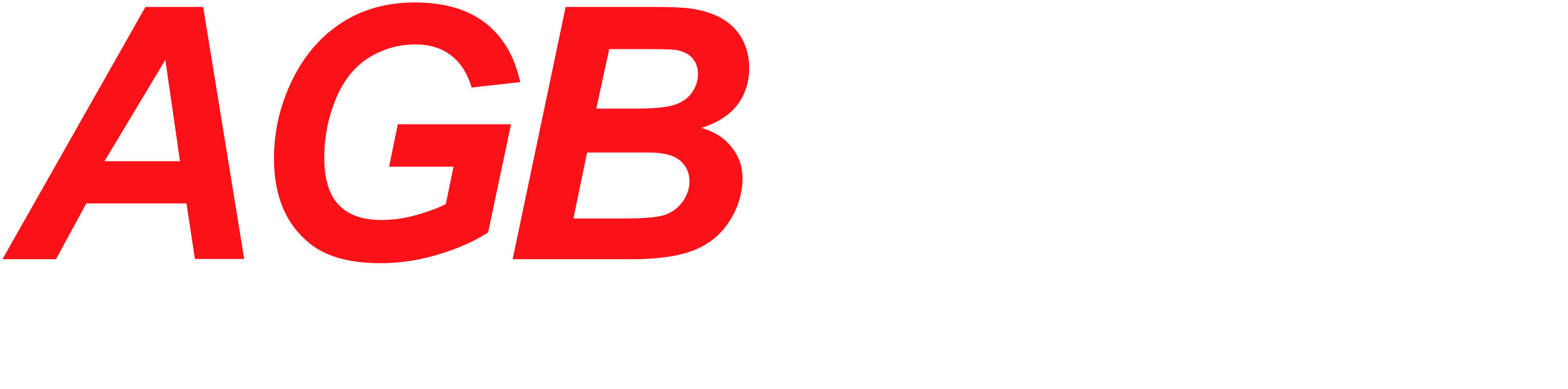 AGB Scaffolding Services Ltd