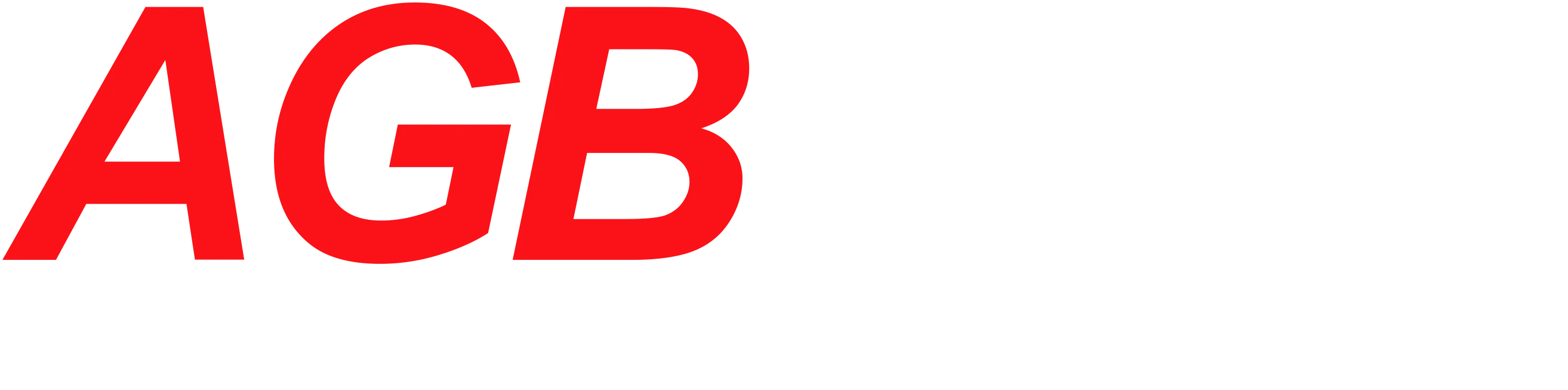 AGB Scaffolding Services Ltd